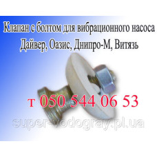 Клапан с болтом для насоса Дайвер, Оазис, Днипро-М, Витязь