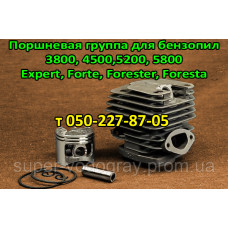 Поршневая бензопилы Expert, Forte, Forester, Foresta