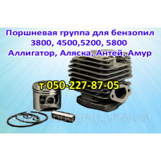 Поршневая бензопилы Аллигатор, Аляска, Антей, Амур