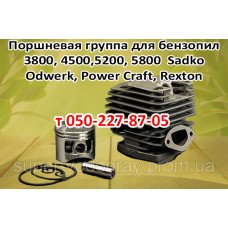 Поршневая бензопилы Odwerk, Power Craft, Rexton, Sadko Поршневая бензопилы Odwerk, Power Craft, Rexton, Sadko