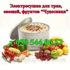 Электросушка для овощей,фруктов Чудесница
