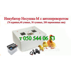 Инкубатор Несушка с автоматическим переворотом