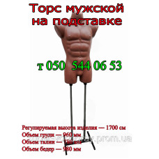 Манекен мужской торс на подставке