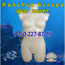 Манекен торс женский "Венера" (перламутр)