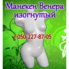 Манекен торс женский "Венера" изогнутый (перламутр)