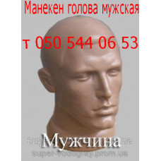 Манекен голова мужская