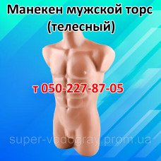 Манекен мужской торс (телесный)