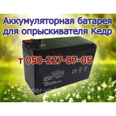 Аккумулятор для опрыскивателя Кедр (12 В - 7А; 9А) Аккумулятор для опрыскивателя Кедр (12 В - 7А; 9А)