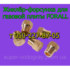 Жиклер-форсунка для газовой плиты Forall Жиклер-форсунка для газовой плиты Forall
