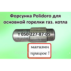 Форсунка основной горелки Polidoro для газового котла